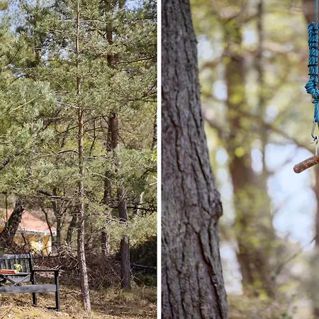 1608-aakirkeby-loftsgardsskoven-5 * Vester Somarken